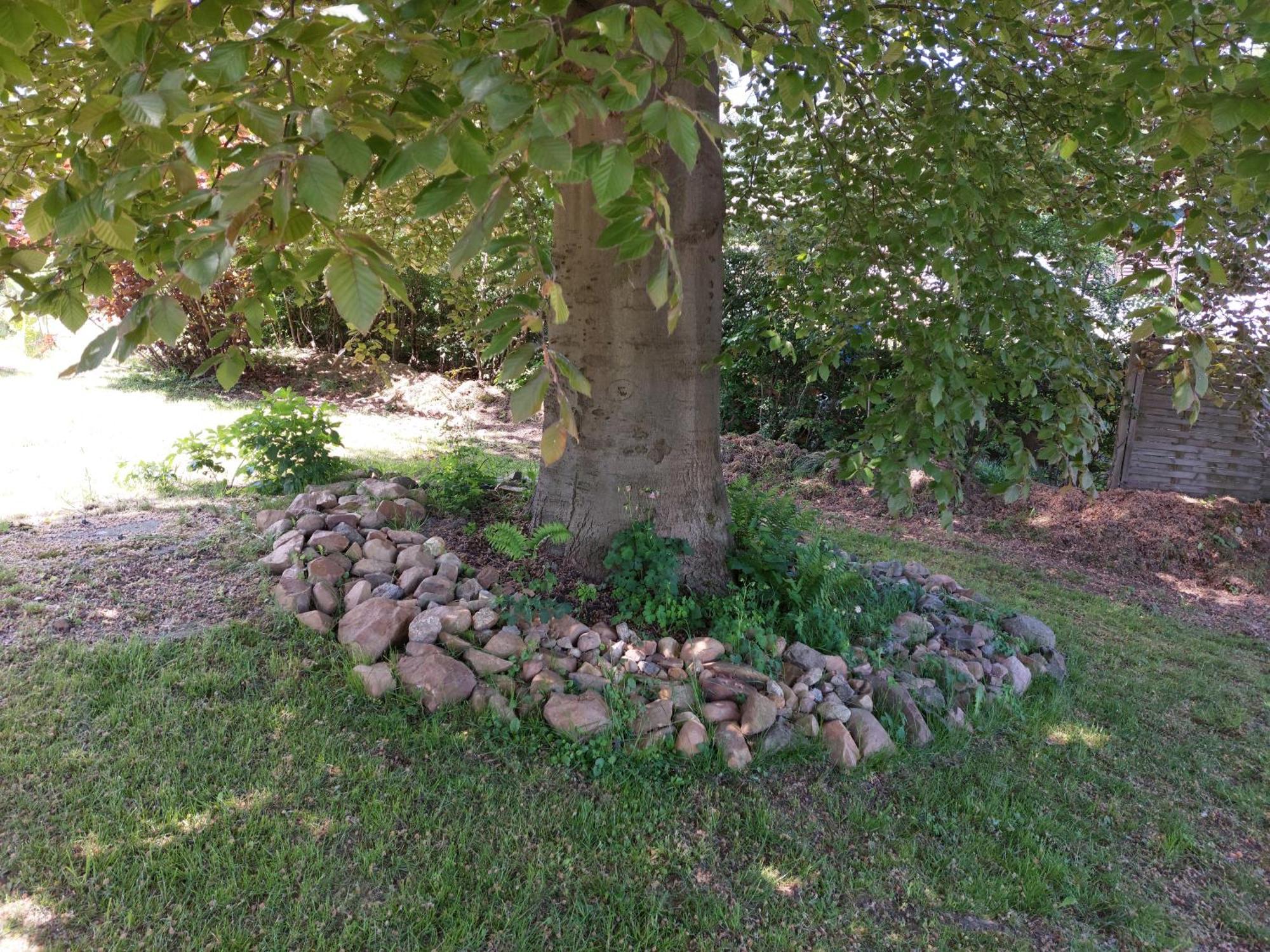 Gasthof Oberschmiede Auf der Wiese Exteriör bild